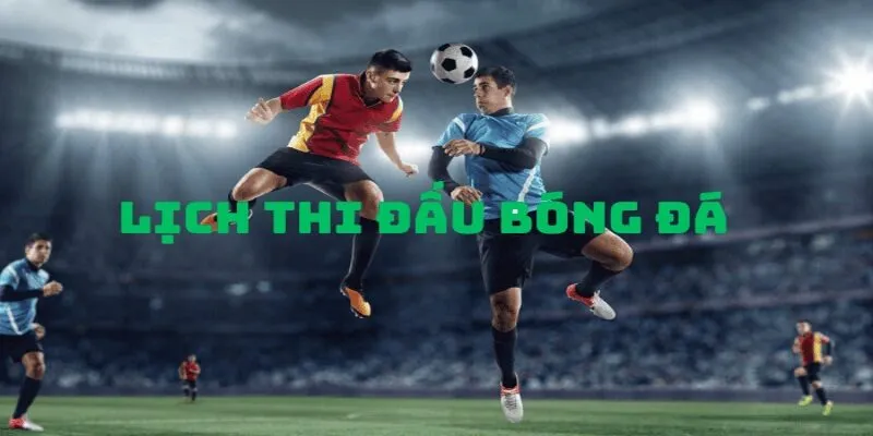 Các thông tin hiển thị trong lịch thi đấu OK9