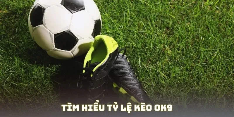 Tìm hiểu tỷ lệ kèo OK9